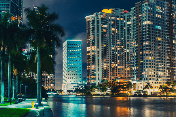 Miami Noche